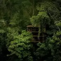 Finca Bellavista