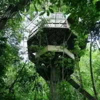 Finca Bellavista 5