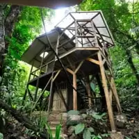 Finca Bellavista 7