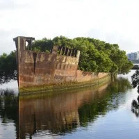 SS Ayrfield 4