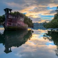 SS Ayrfield 5