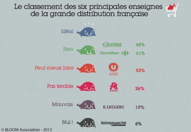 classement bloom  supermarché poisson durable