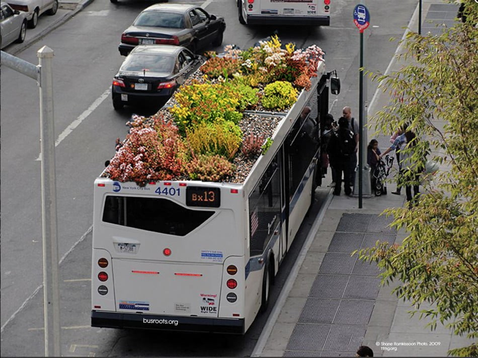 Bus Roots : Un bus à toiture végétale