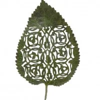 Leaf Art 5