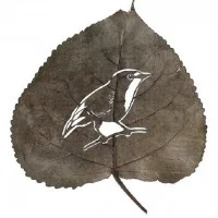 Leaf Art 9