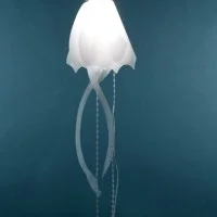 Roxy Russell - medusae collection 3