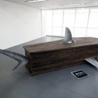 cercueil de requin 1