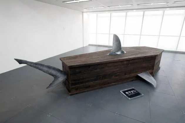 cercueil de requin 1