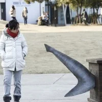 cercueil de requin 4
