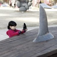 cercueil de requin 5