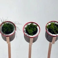 Jardinage urbain