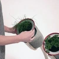 Pots - Jardinage urbain