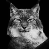 Wolf Ademeit 18