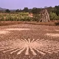 paddy Richard long 2