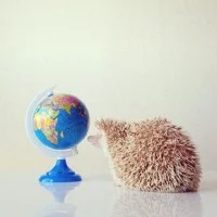 Darcy World