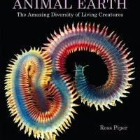 Animal Earth