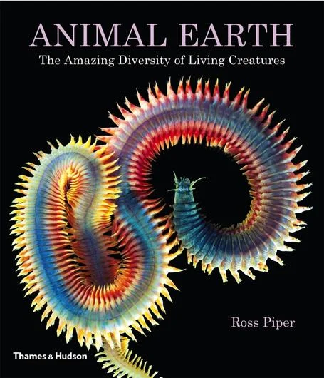 Animal Earth