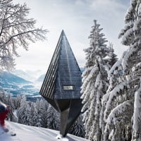 Primeval Symbiosis 5