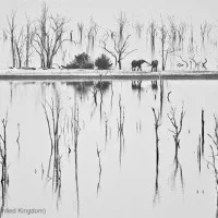 Hiver WPY