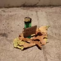 Little Lost Project