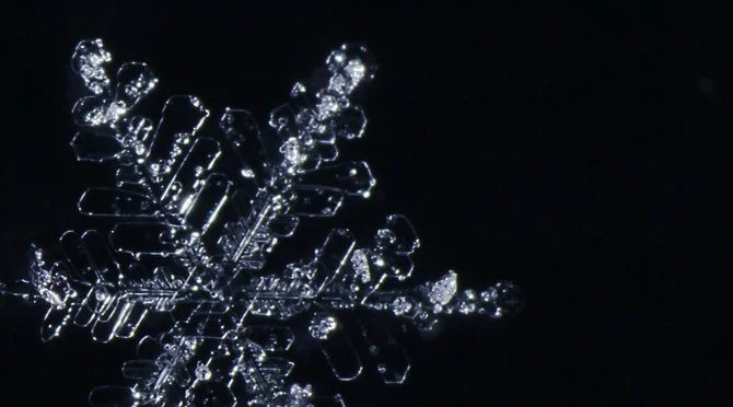 frozen