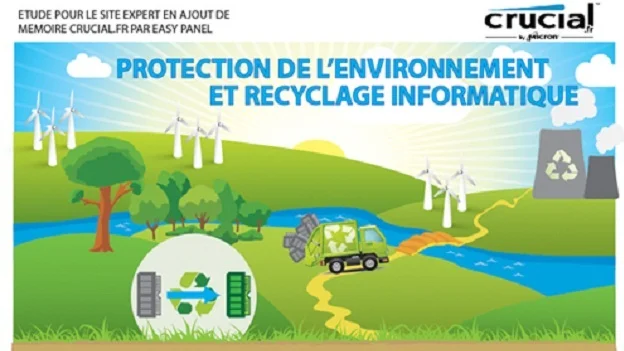 Infographie-Crucial.fr-2