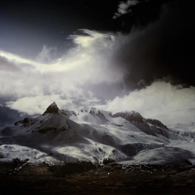 Andy Lee2