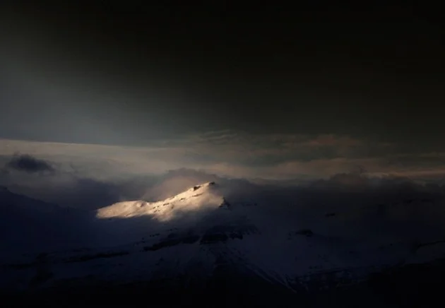 Andy Lee5
