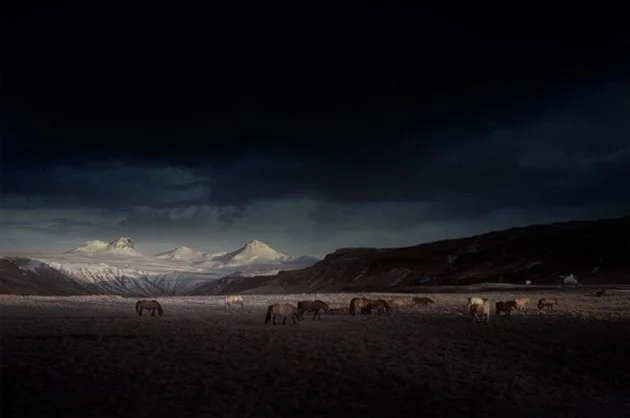 Andy Lee7