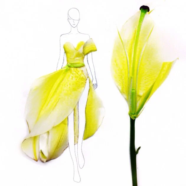 Flowers fashion illustrations