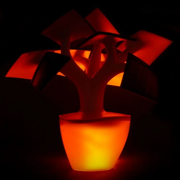 bonsai solaire 4