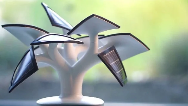 bonsai solaire