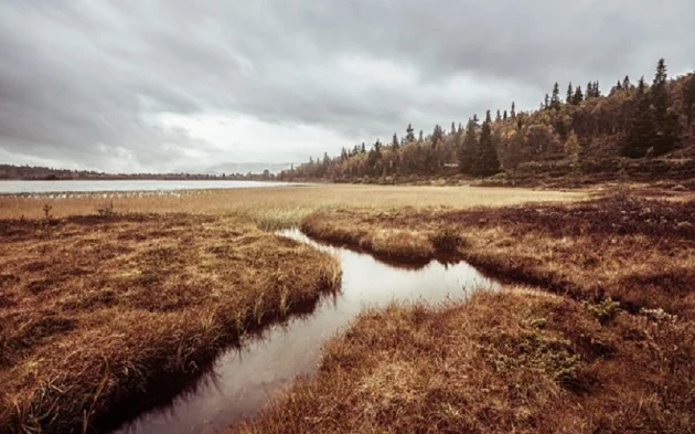 Nordic landscapes7
