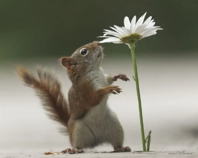 Source 500px - Andre Villeneuve