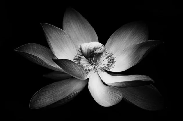 Source 500px - Chishou Nakada
