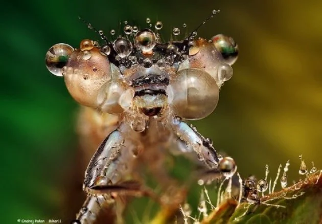 Source 500px - Ondrej Pakan