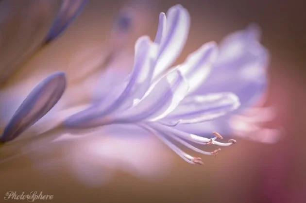Source 500px - Peter Spellerberg
