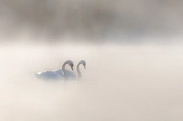 Source 500px - Rodney O Callaghan