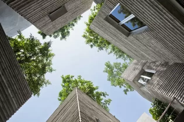 house for trees