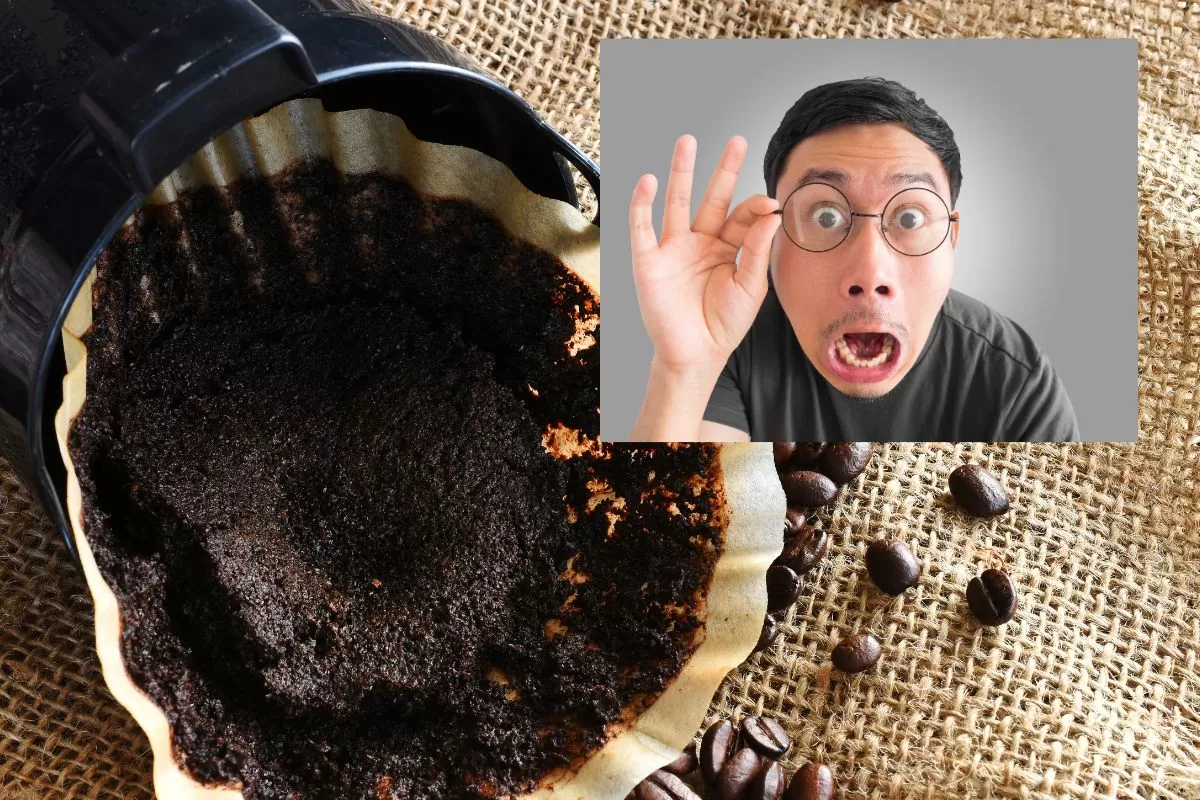 marc de café