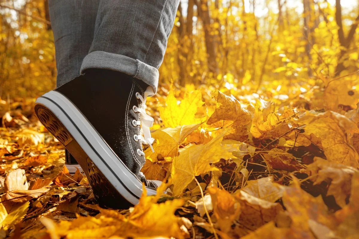 personne qui marche dans la forêt en automne