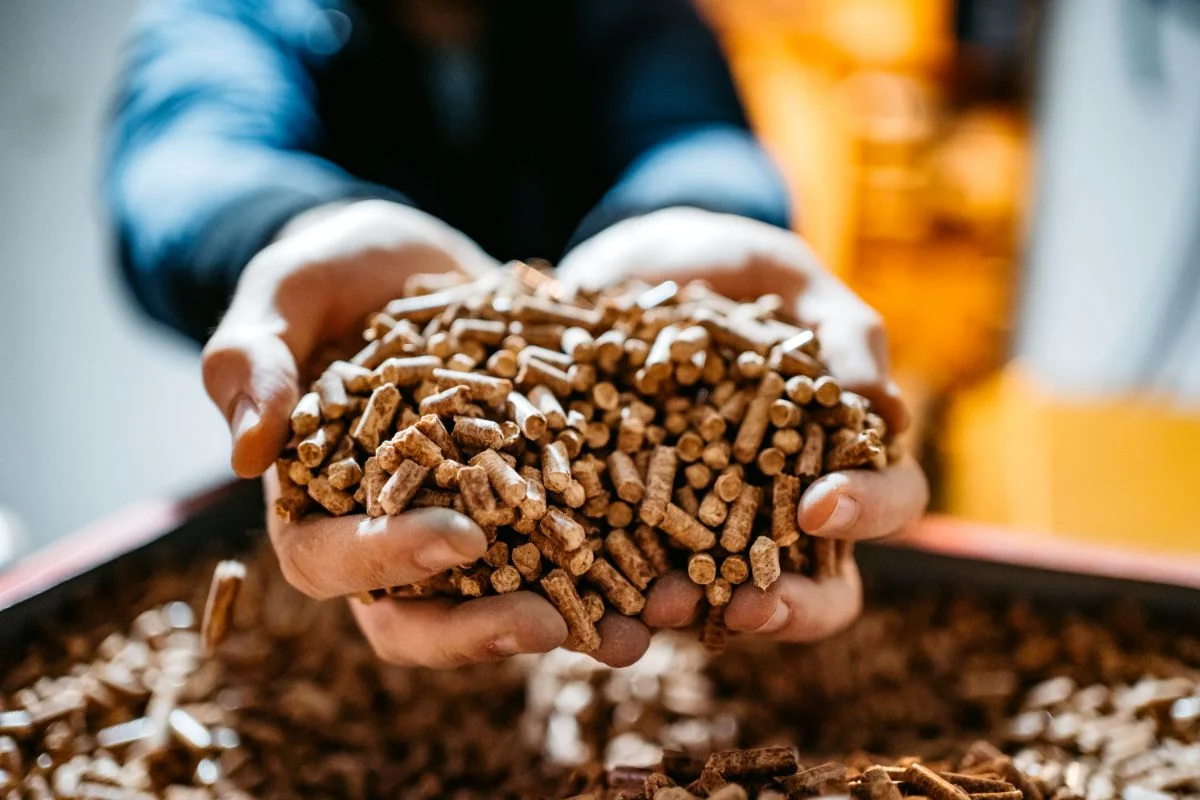homme qui tient des pellets de bois dans ses mains