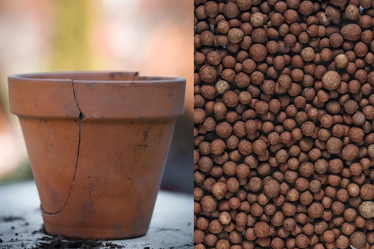 pot en terre cuite cassé et billes d'argile pour le drainage des plantes