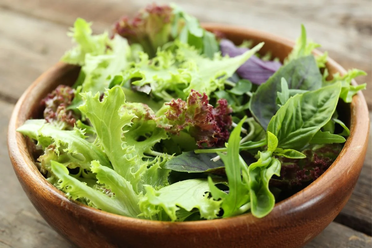 bol de salade