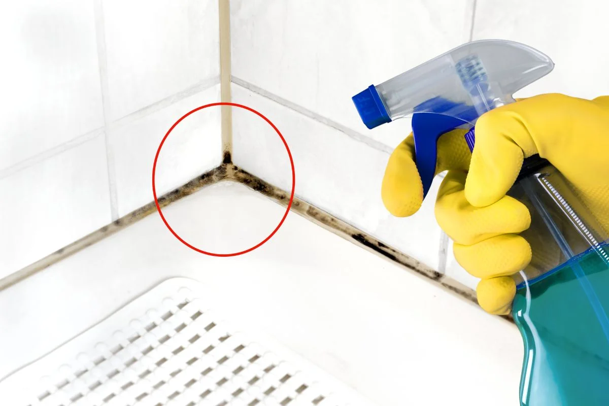 joint de salle de bain noircit par les moisissures