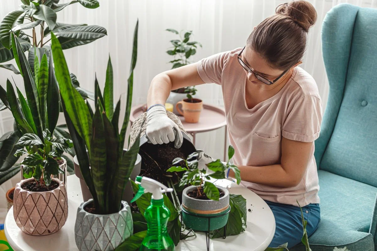 femme qui donne des engrais naturels à ses plantes d'intérieur
