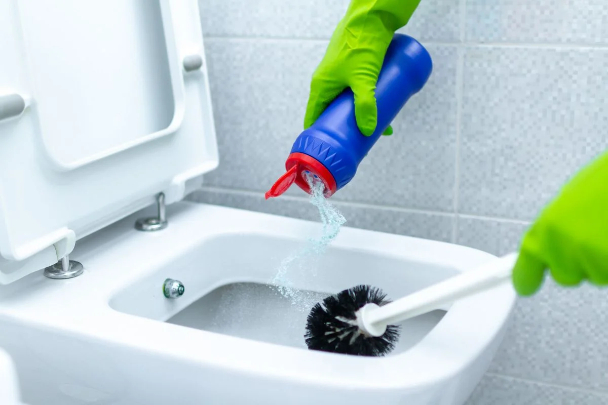 nettoyage du fond de la cuvette des toilettes