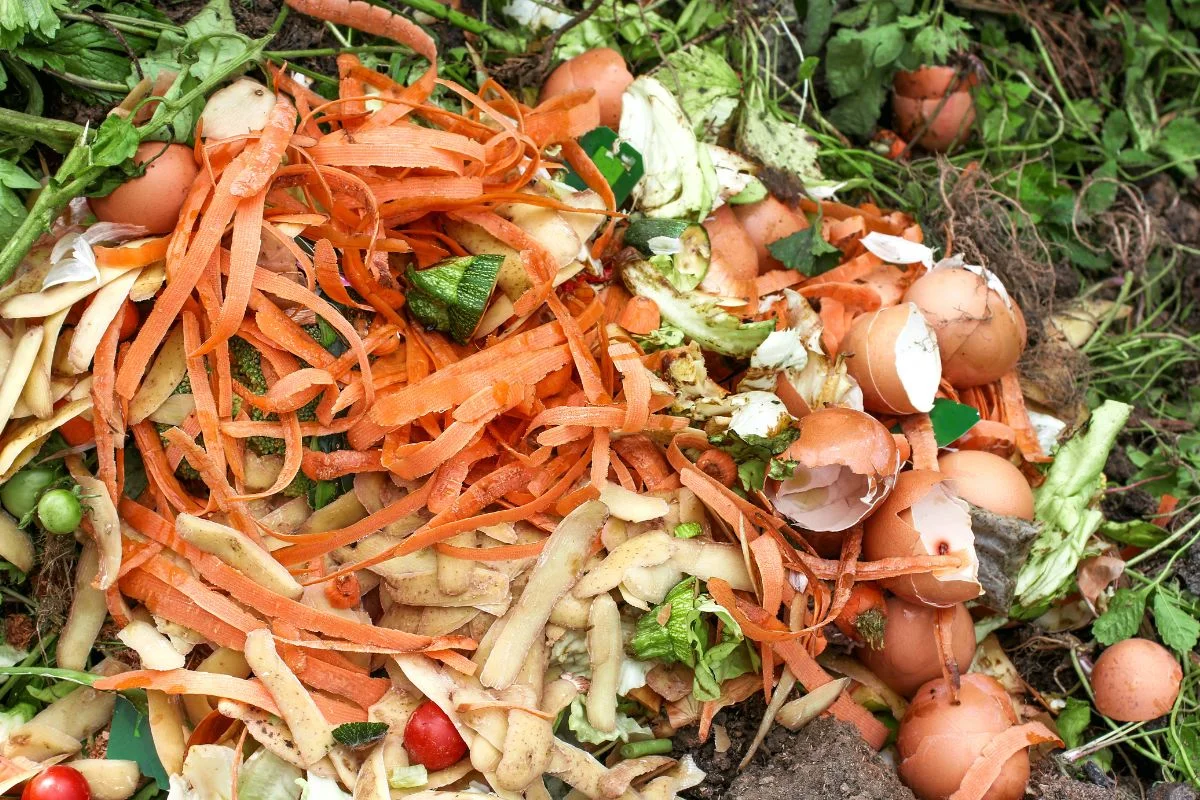 déchets verts pour le compost