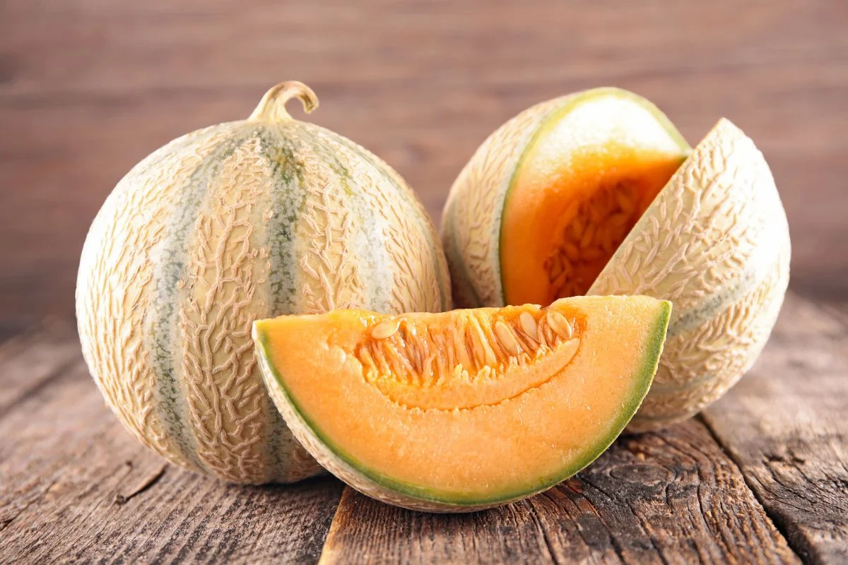 melon