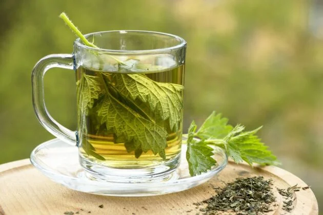 tisane d'ortie